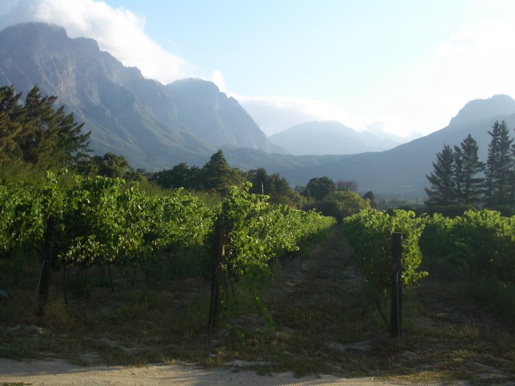 La Verdure Fruit Farm フランシュホーク 部屋 写真